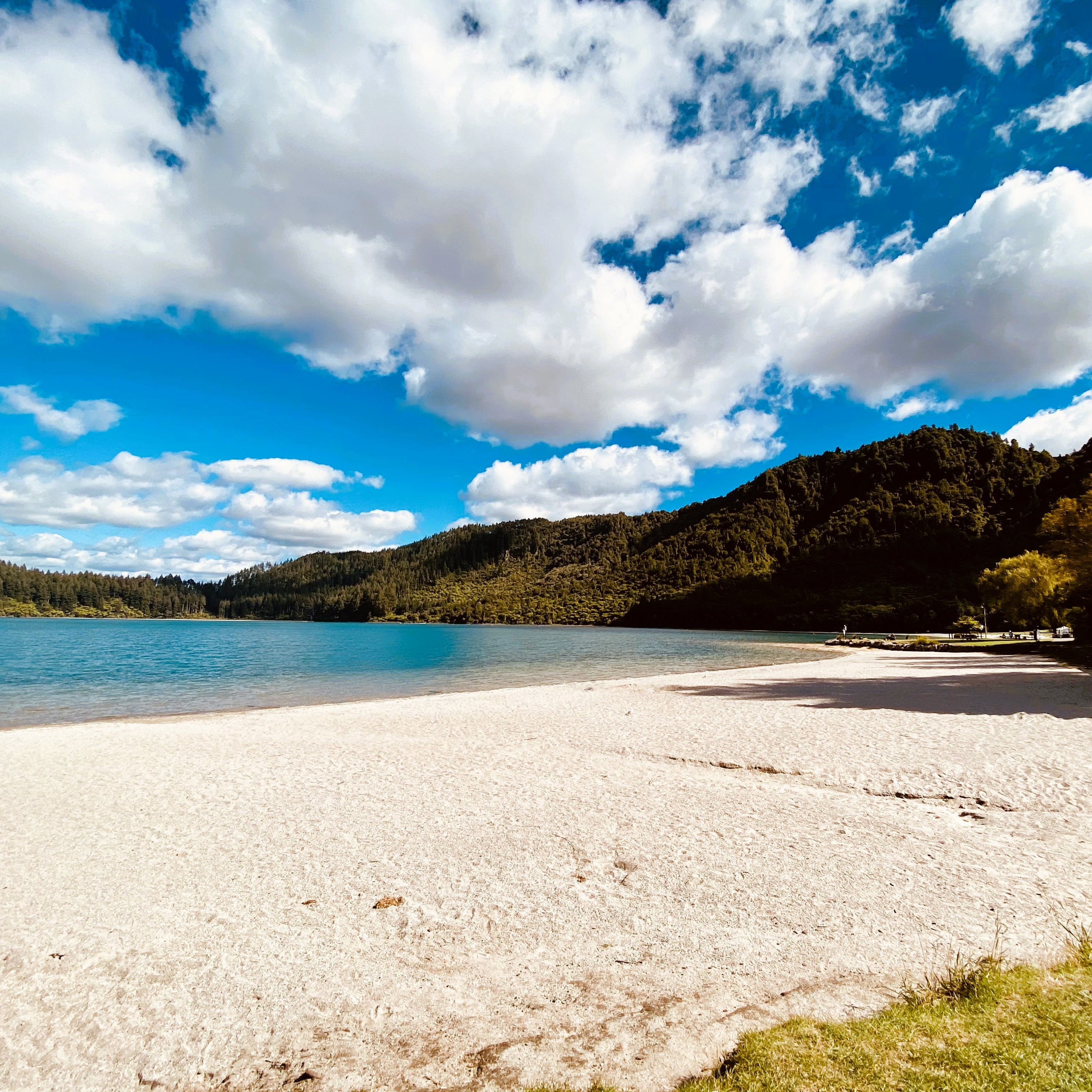 Tikitapu – The Blue Jewel of Rotorua